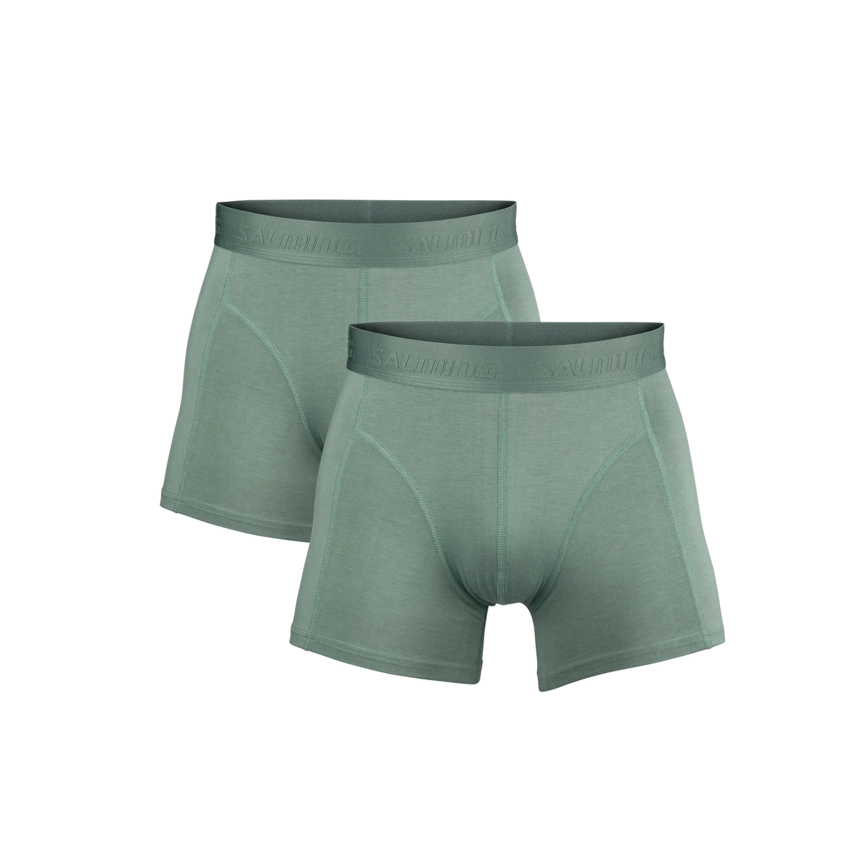 5025002-0606_1_2-PACK-BAMBOO-BOXER_GREEN