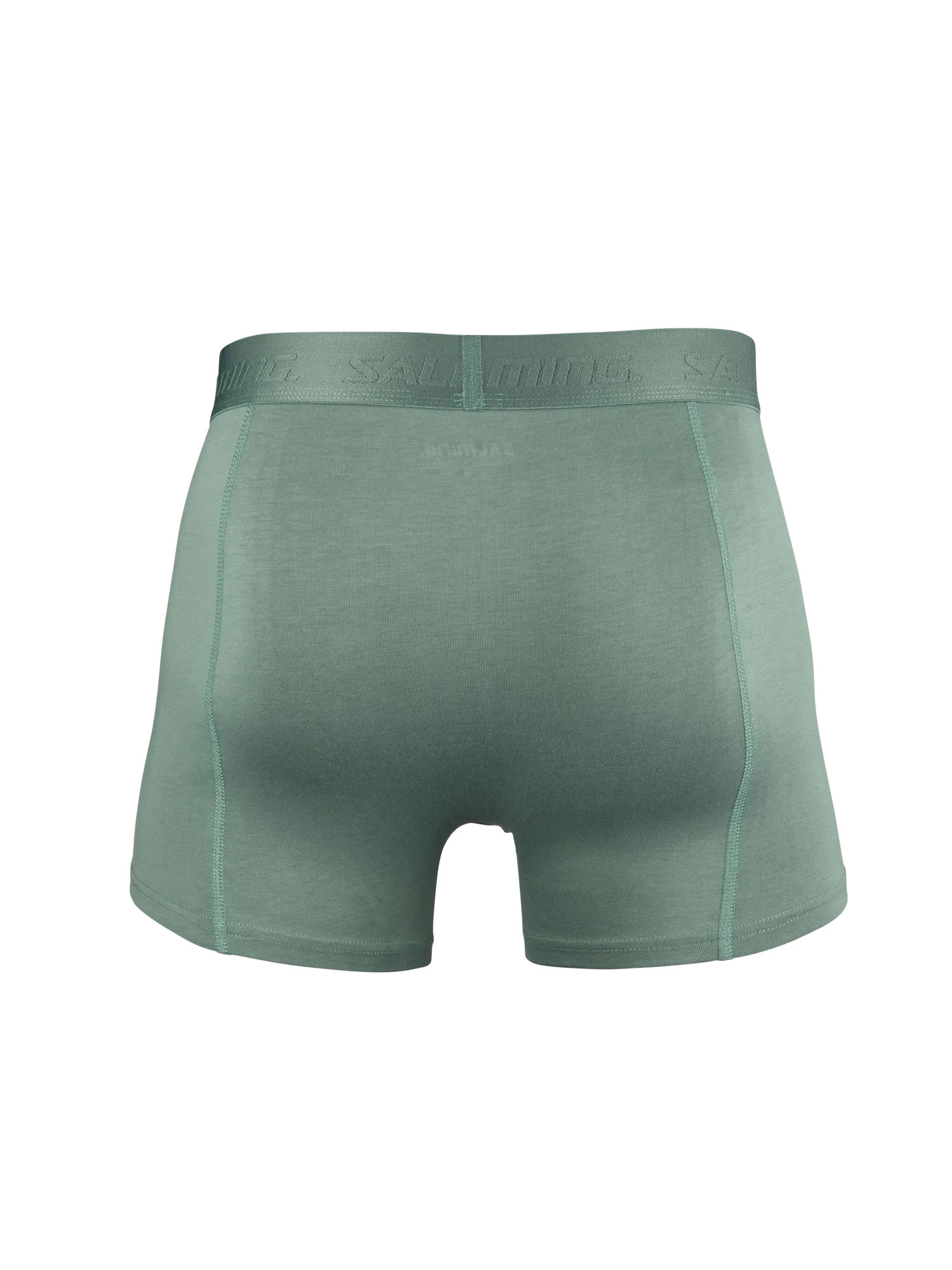 5025003-0606_3_3-PACK-BAMBOO-BOXER_GREEN