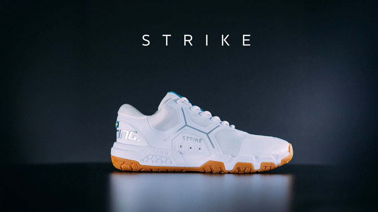 Recoil Strike Campaign