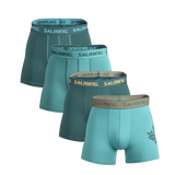 5004004-M031_1_4-Pack-Cotton-Boxer_Petrol-Mixpng