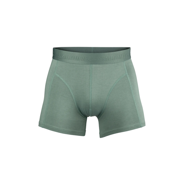 5025001-0606_1_1-PACK-BAMBOO-BOXER_GREEN