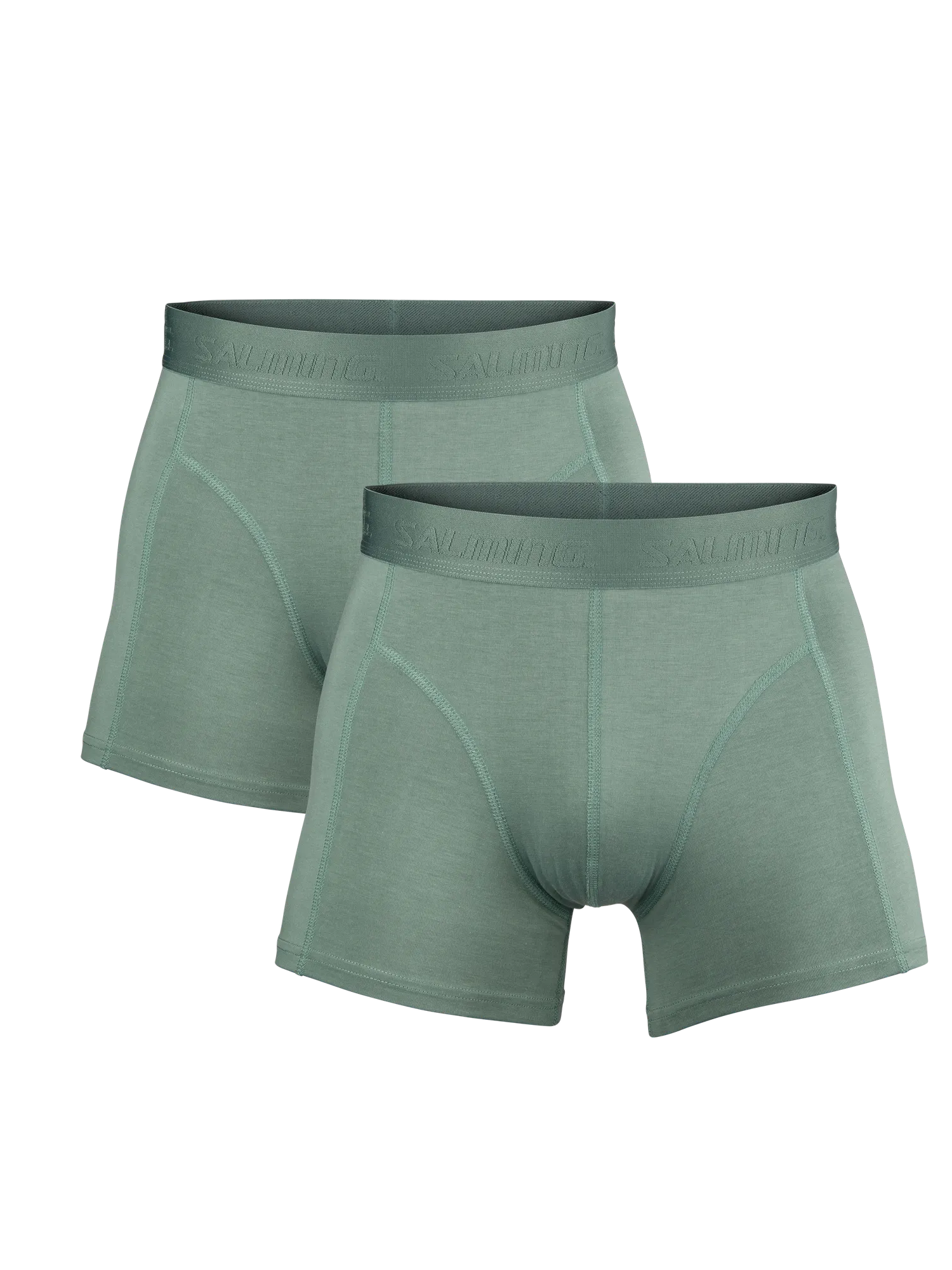 5025002-0606_1_2-PACK-BAMBOO-BOXER_GREEN