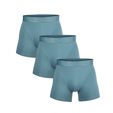 5025003-0303_1_3-PACK-BAMBOO-BOXER_BLUE