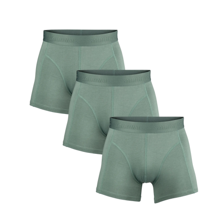 5025003-0606_1_3-PACK-BAMBOO-BOXER_GREEN