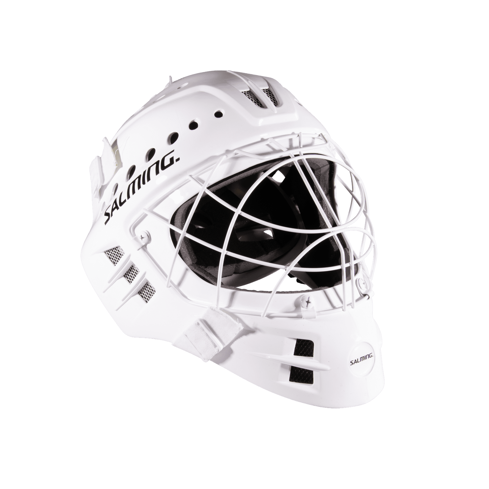 Phoenix Elite Helmet